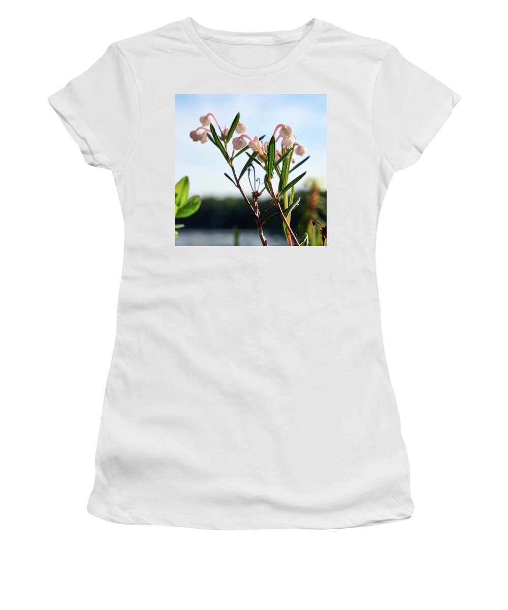 Finland Women's T-Shirt featuring the photograph Bog Rosemary #5 by Jouko Lehto