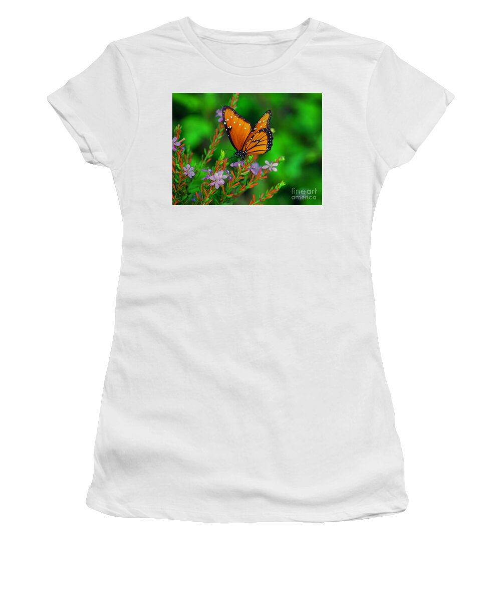 Viceroy Butterfly Women's T-Shirt featuring the photograph 56- Viceroy Butterfly by Joseph Keane