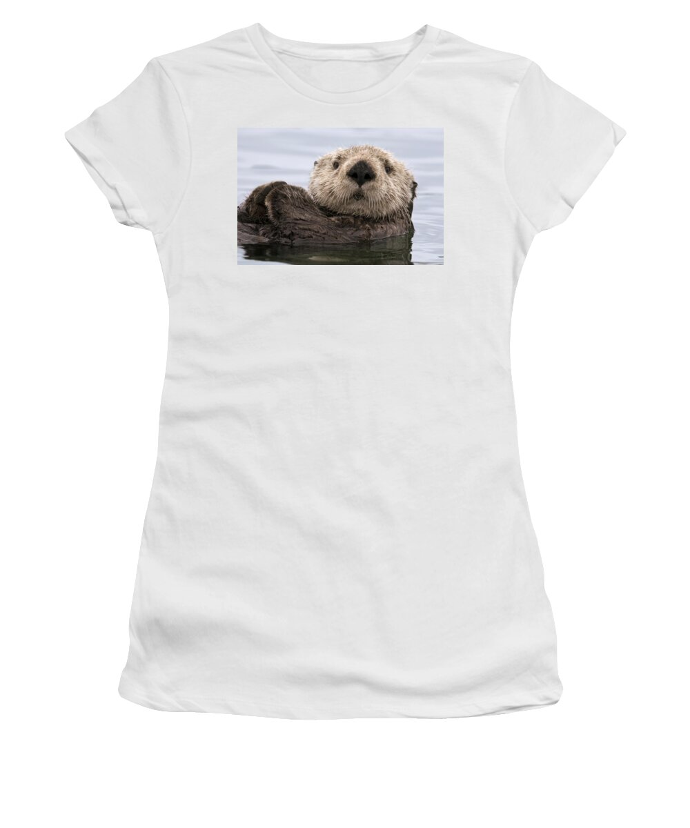 00429873 Women's T-Shirt featuring the photograph Sea Otter Elkhorn Slough Monterey Bay by Sebastian Kennerknecht