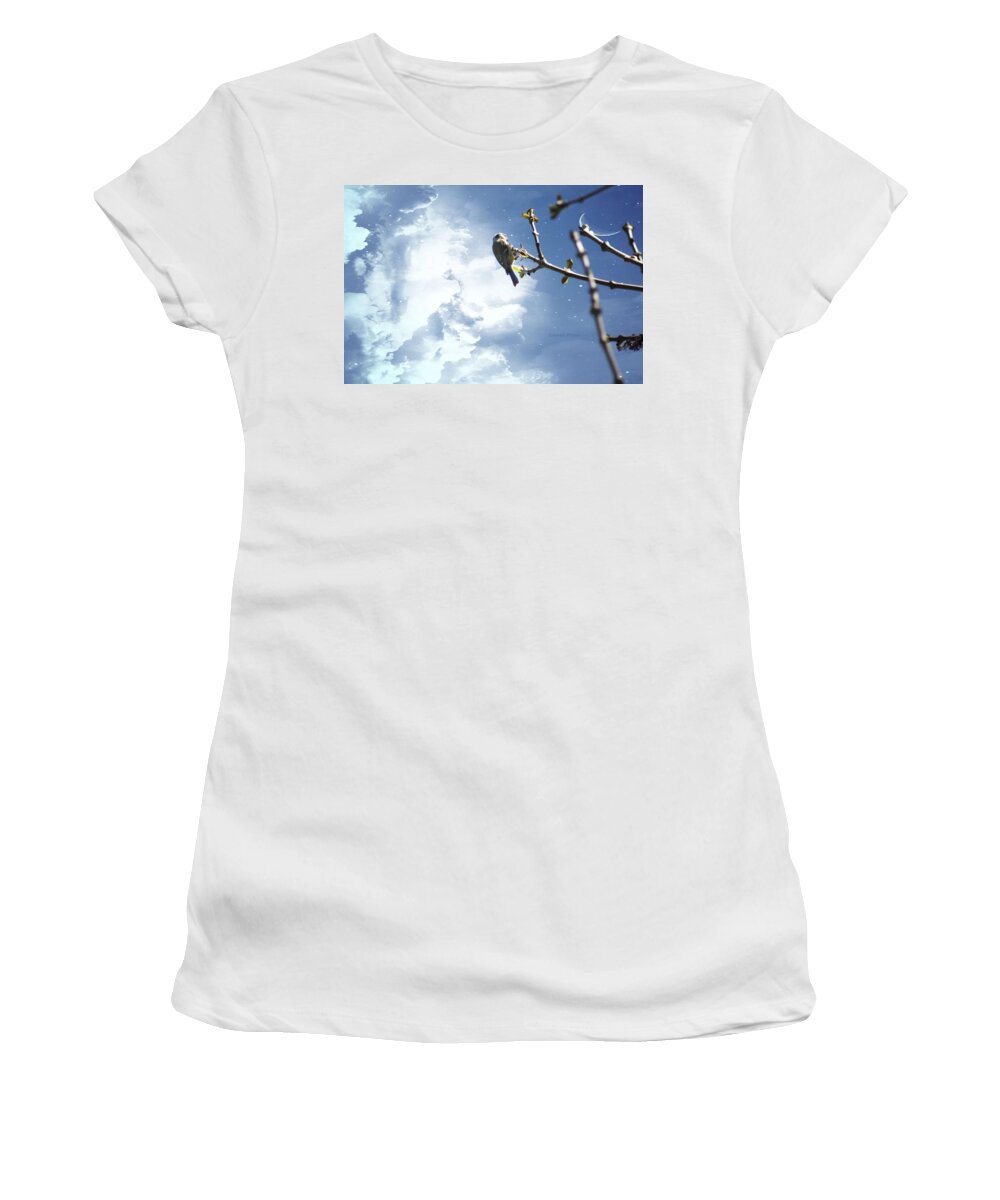Landscape Women's T-Shirt featuring the photograph A blue tit. by Eskemida Pictures