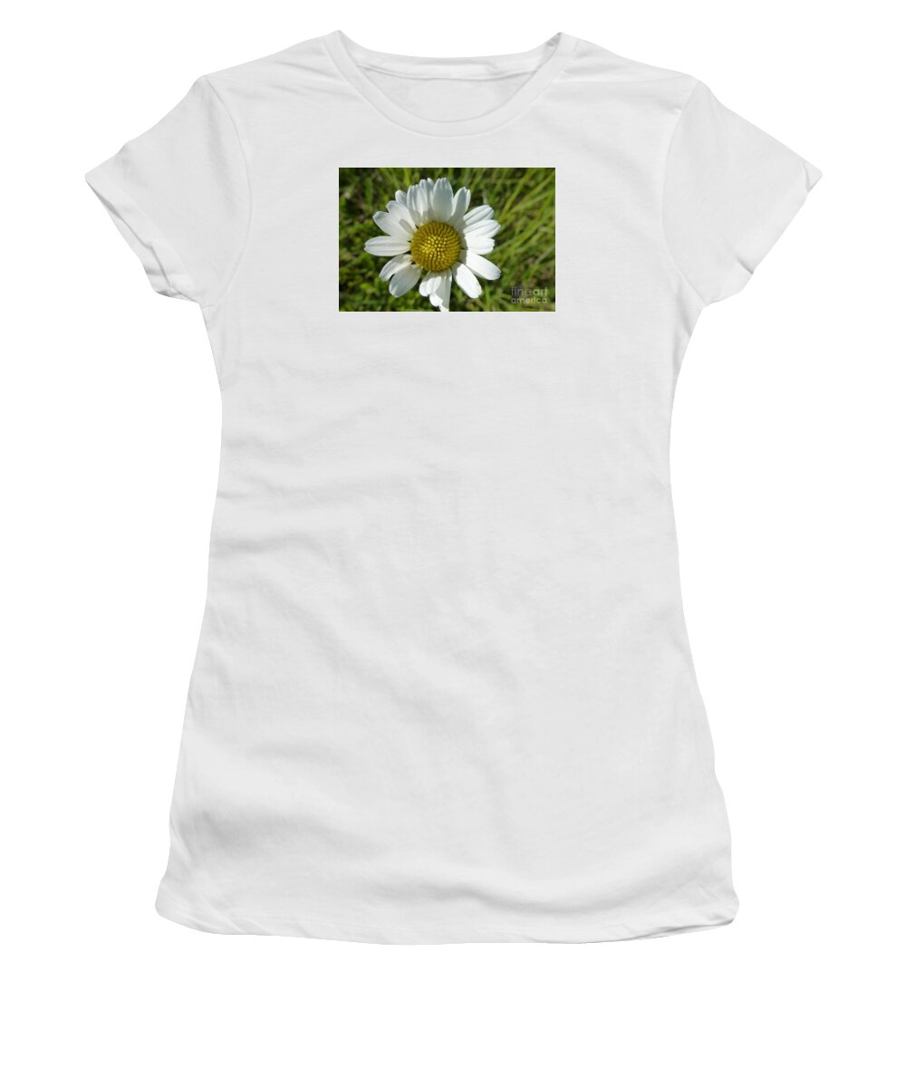 Daisies Women's T-Shirt featuring the photograph A Daisy by Jean Bernard Roussilhe