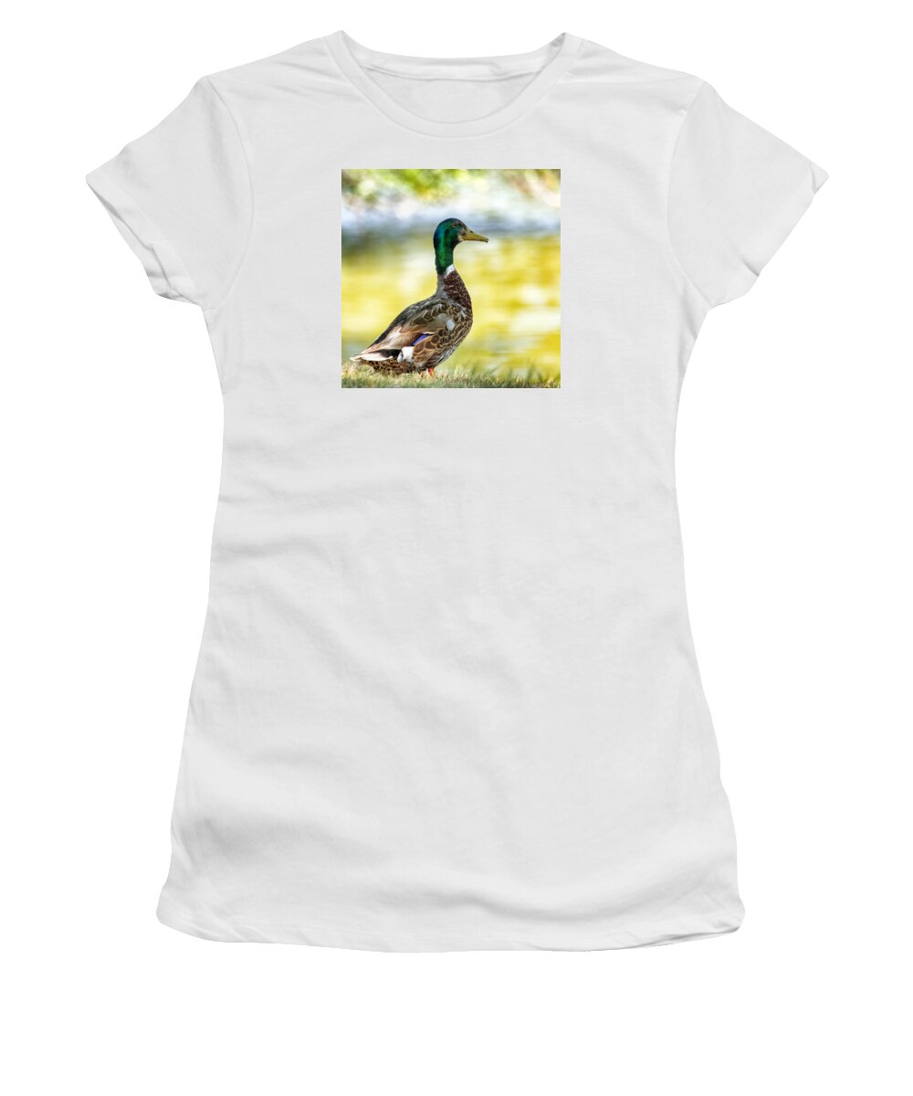 Male Duck Women's T-Shirt featuring the photograph A Ducky View by Bill and Linda Tiepelman