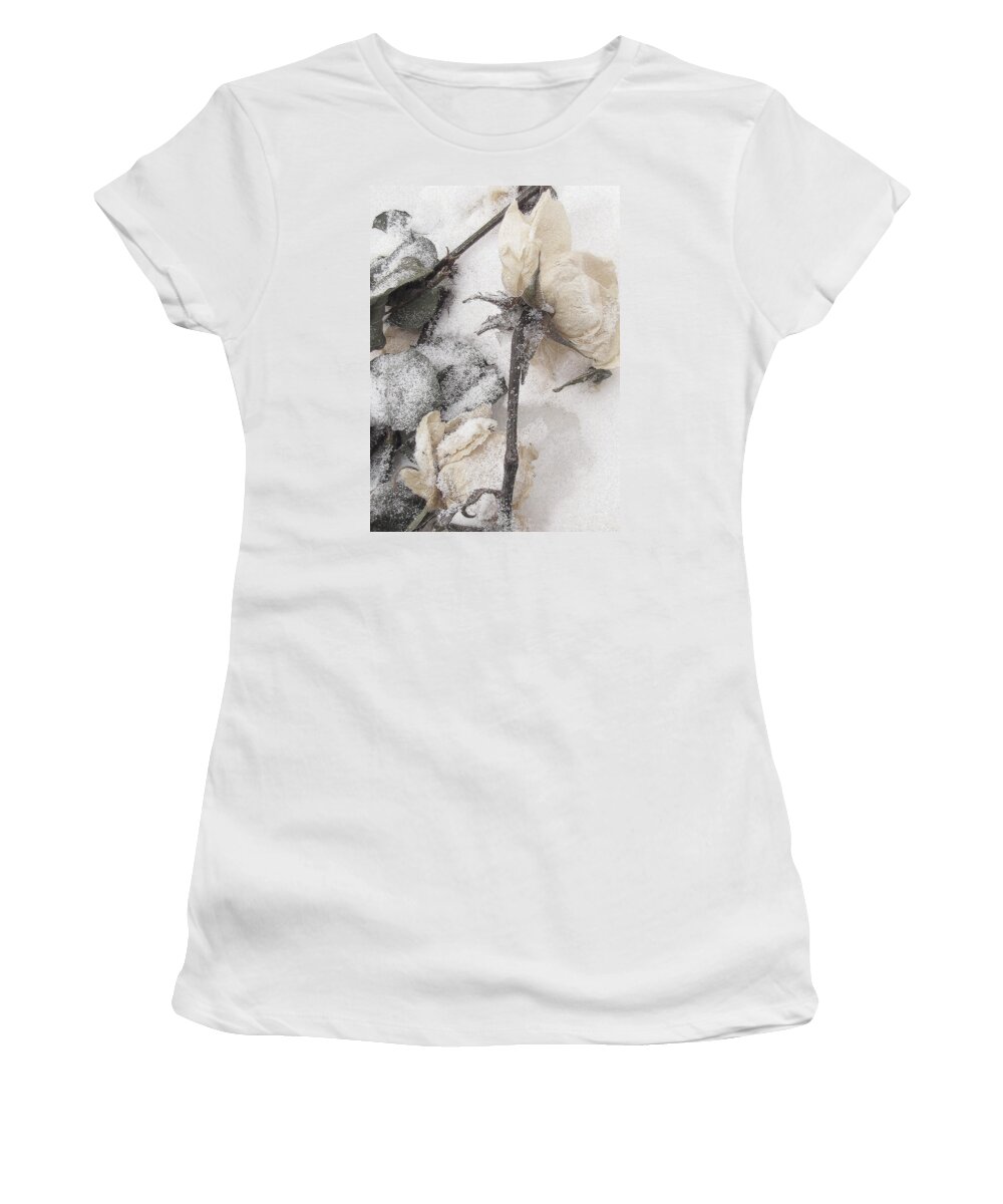 Roses Women's T-Shirt featuring the photograph A Mystery Made of Truth by Char Szabo-Perricelli