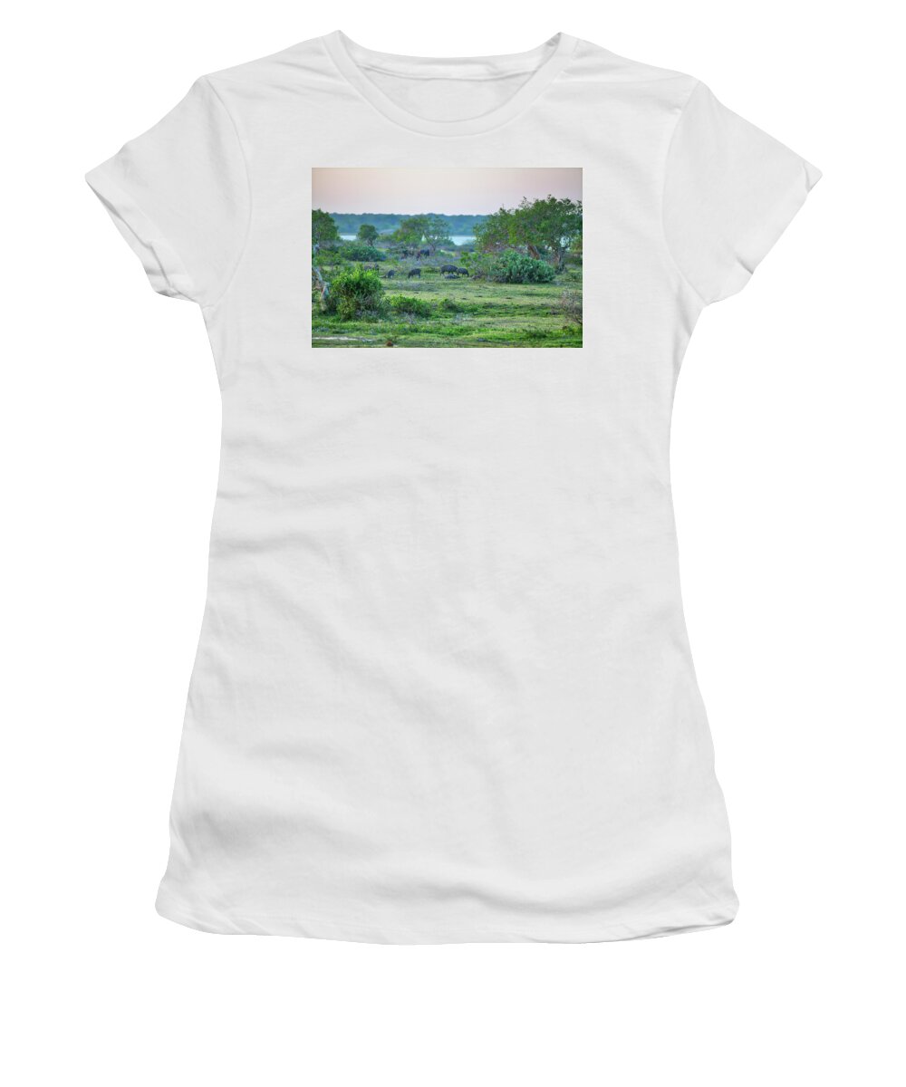 Adventure Women's T-Shirt featuring the photograph a pack of Wild Pigs in the gorgeous landscape in the Yala Nationalpark by Gina Koch