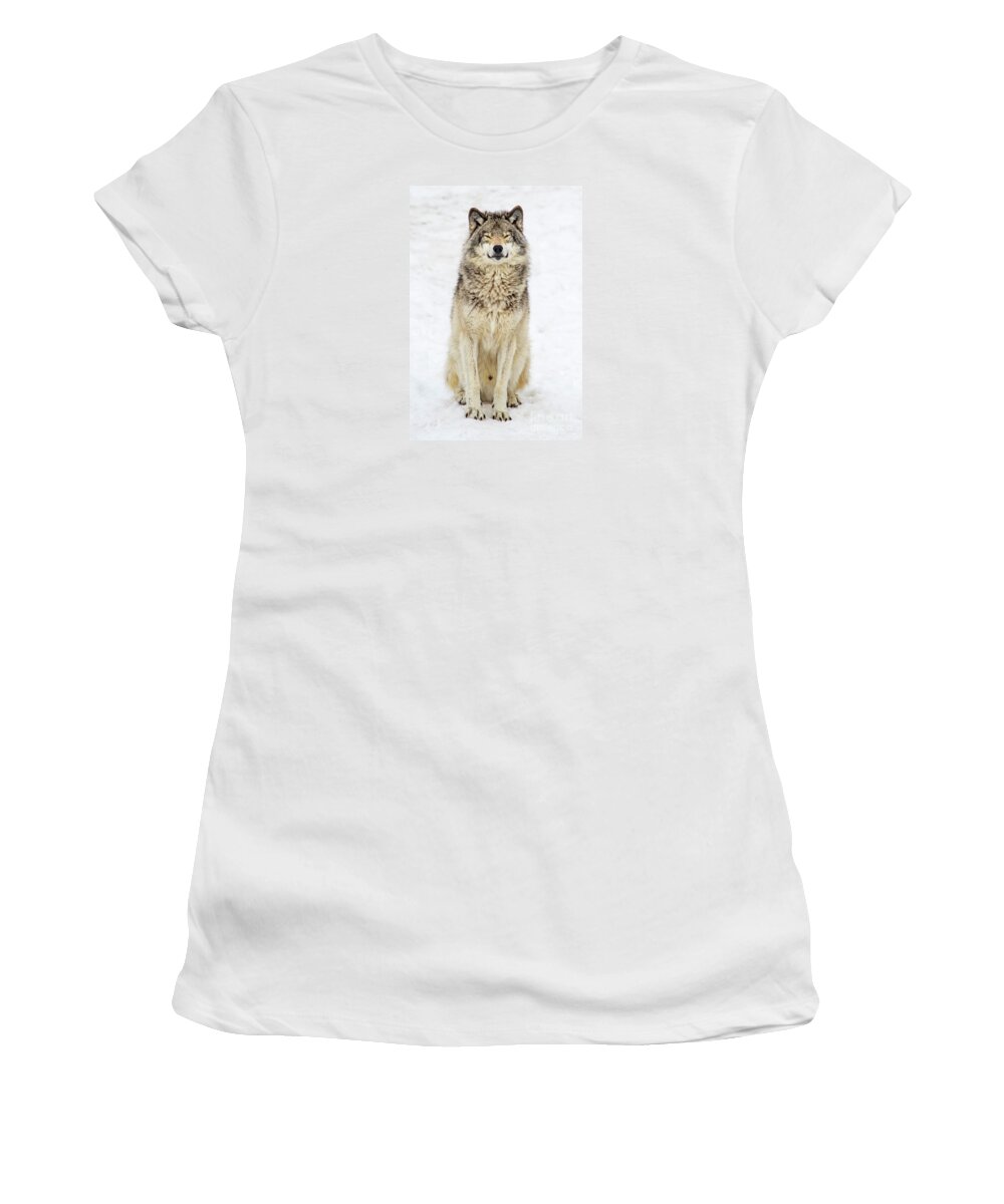 Nina Stavlund Women's T-Shirt featuring the photograph A Smile for You.. by Nina Stavlund
