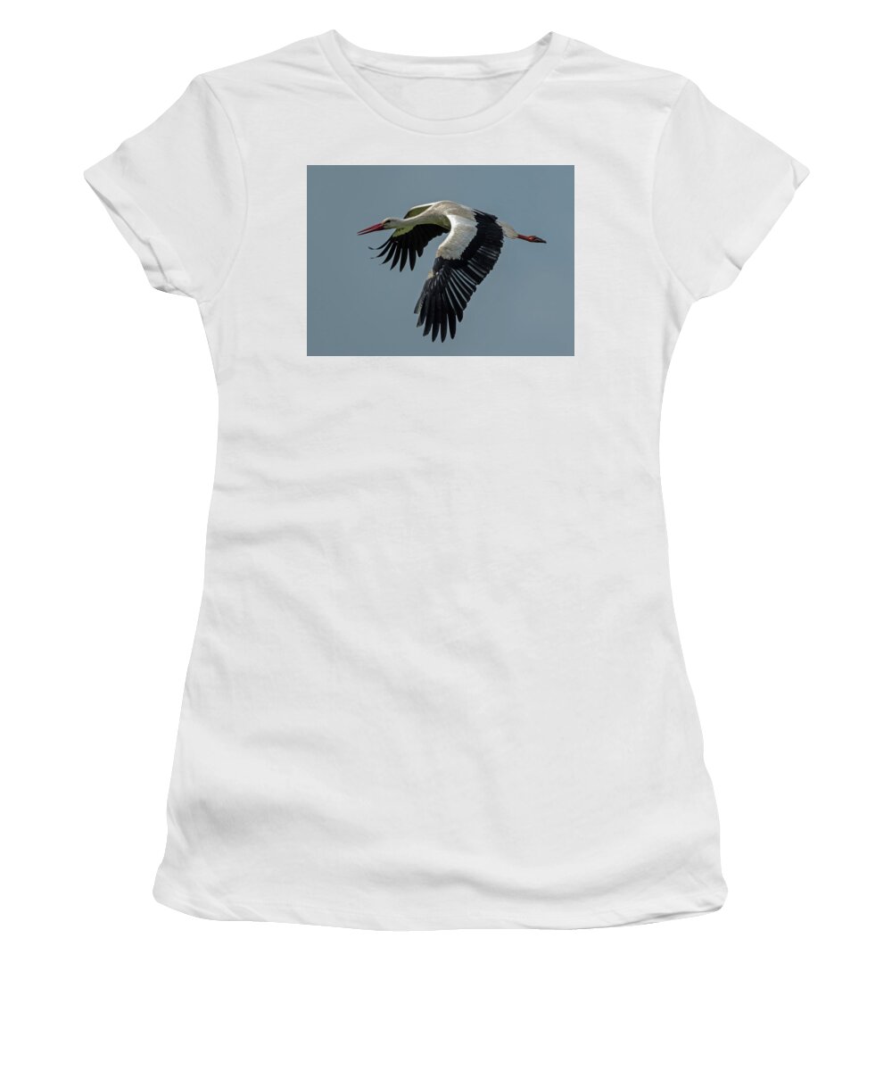Wildlife Women's T-Shirt featuring the photograph Adebar air by Hans Zimmer