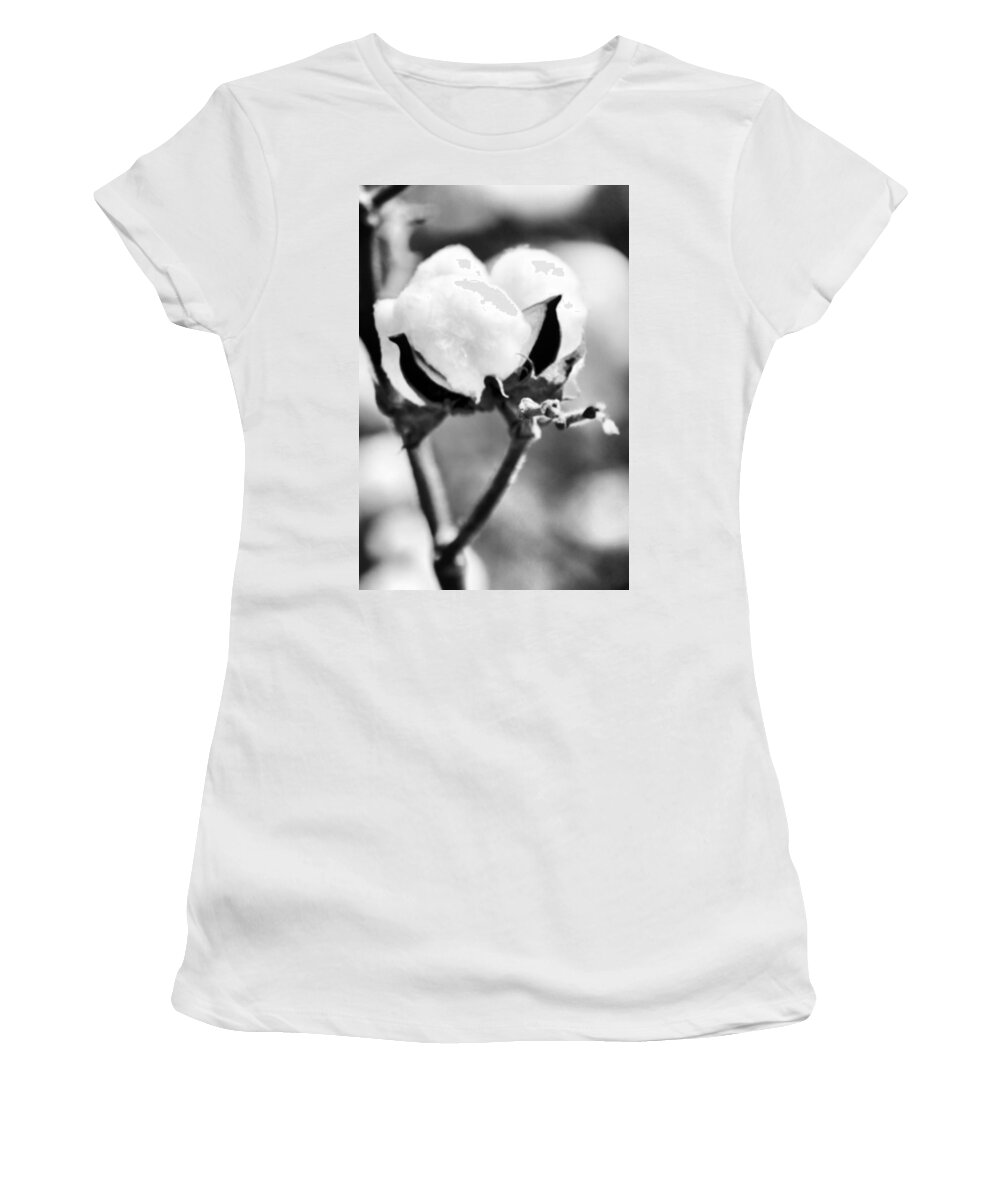 Black Women's T-Shirt featuring the photograph Agriculture- Cotton 2 by Karen Wagner
