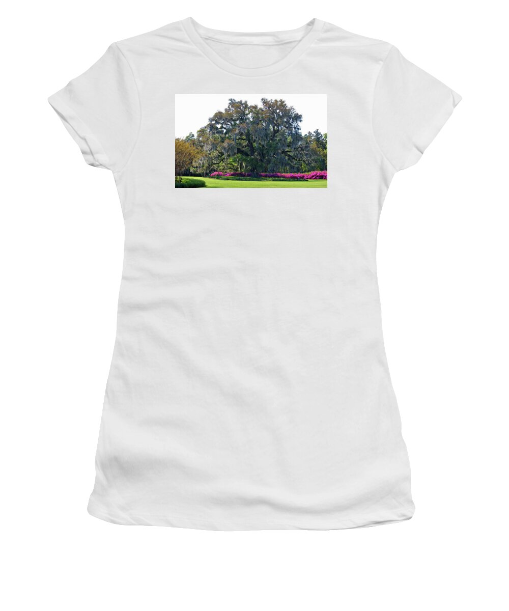 Live Oak Women's T-Shirt featuring the photograph Airlie Oak In The Spring by Cynthia Guinn