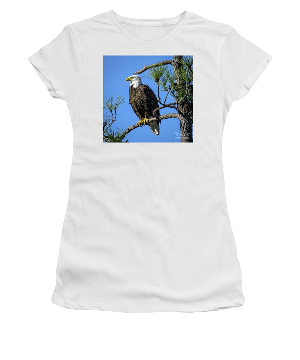 Nature Women's T-Shirt featuring the photograph American Bald Eagle - Haliaeetus Leucocephalus by DB Hayes