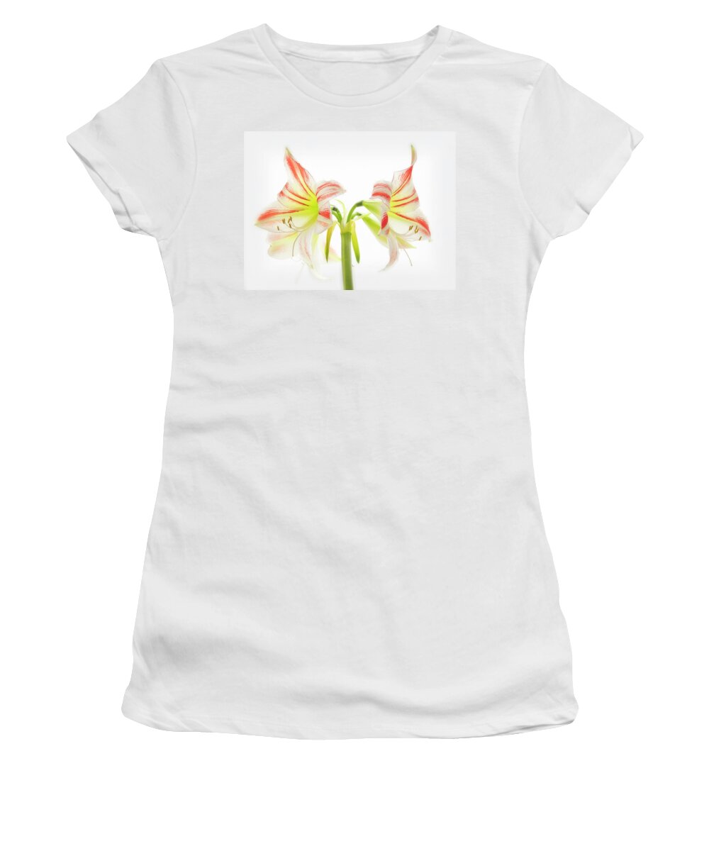 Amaryllis Women's T-Shirt featuring the photograph Amorice by Usha Peddamatham