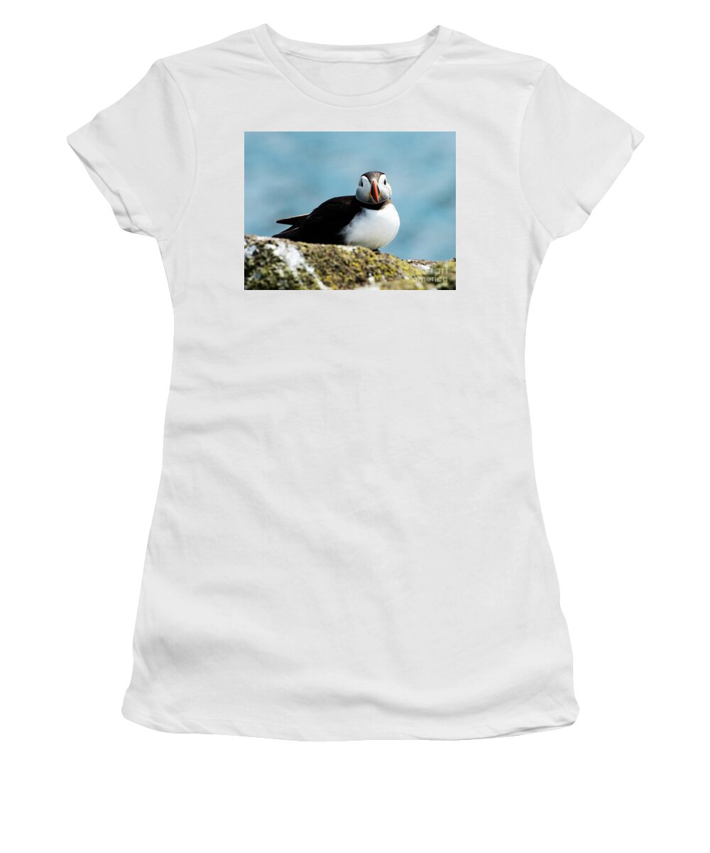 Isle Of May Women's T-Shirt featuring the photograph An Atlantic Puffin by Mary Jane Armstrong