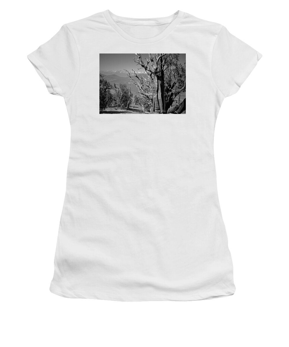 Bristlecone Pine Women's T-Shirt featuring the photograph Ancient Bristlecone Pine Tree, Composition 4, Inyo National Forest, White Mountains, California by Kathy Anselmo