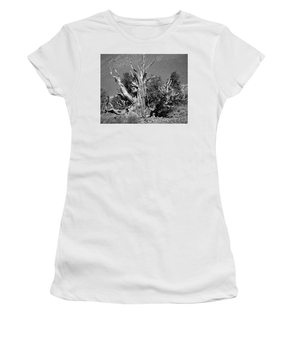 Bristlecone Pine Women's T-Shirt featuring the photograph Ancient Bristlecone Pine Tree, Composition 9 BW, Inyo National Forest, White Mountains, California by Kathy Anselmo