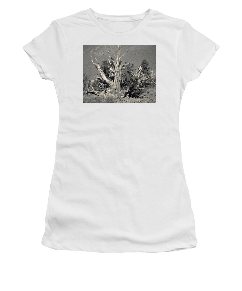 Bristlecone Pine Women's T-Shirt featuring the photograph Ancient Bristlecone Pine Tree, Composition 9 selenium sepia toned, Inyo National Forest, California by Kathy Anselmo