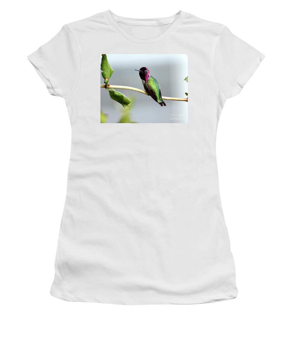 Denise Bruchman Women's T-Shirt featuring the photograph Anna's Hummingbird by Denise Bruchman