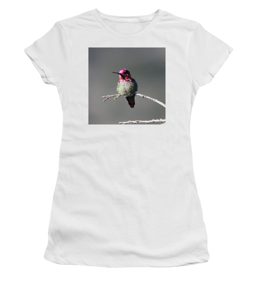 Anna's Hummingbird On The California Coast Women's T-Shirt featuring the photograph Anna's Hummingbird by Perry Hoffman copyright twentytwenty