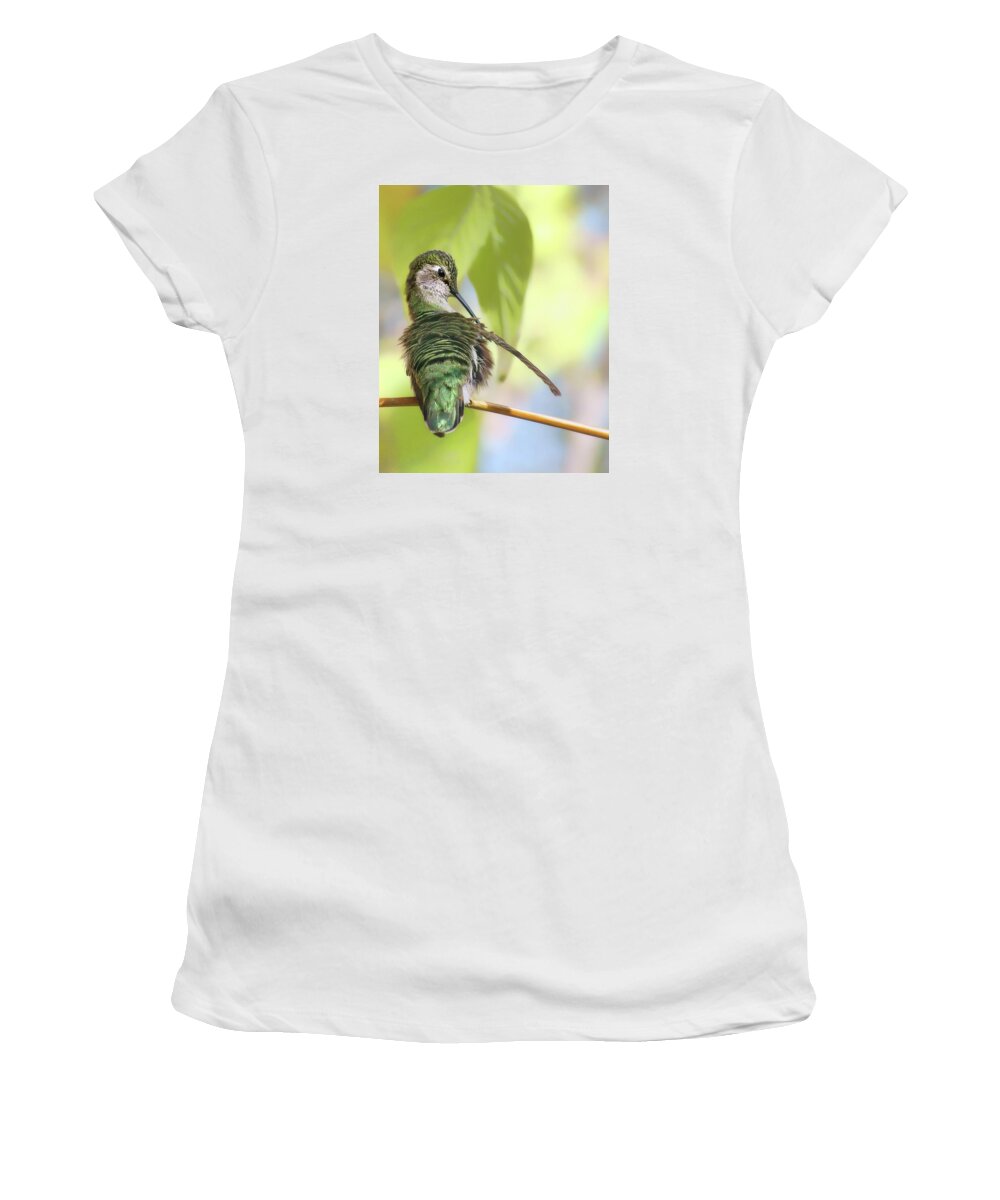 Hummingbird Women's T-Shirt featuring the photograph Anna's Hummingbird - Preening by Nikolyn McDonald