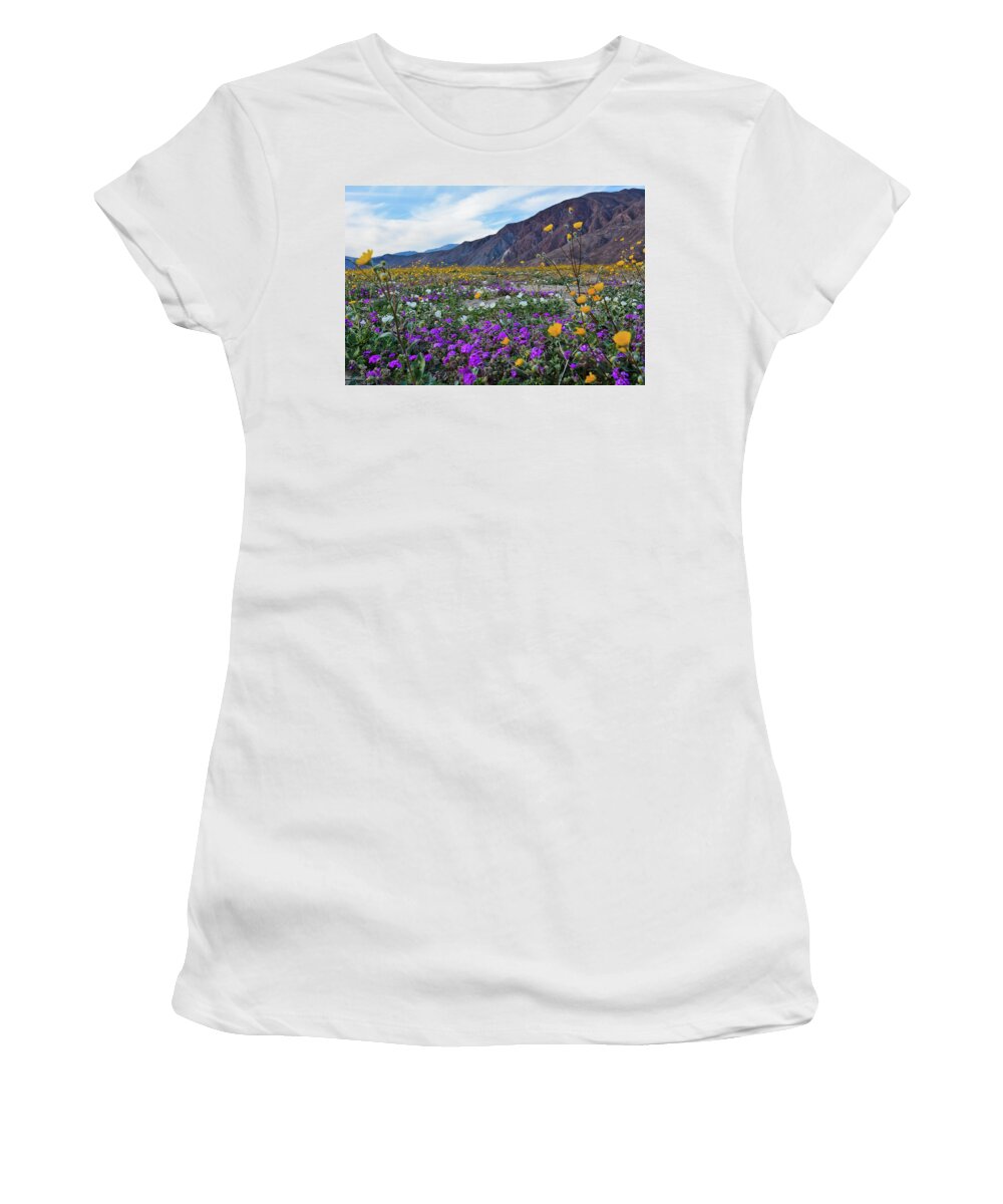 Anza Borrego Desert State Park Women's T-Shirt featuring the photograph Anza Borrego Desert Bloom by Kyle Hanson