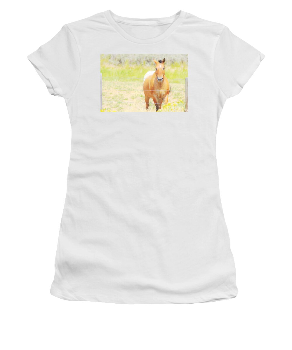 Horse Women's T-Shirt featuring the photograph Appaloosa by Merle Grenz