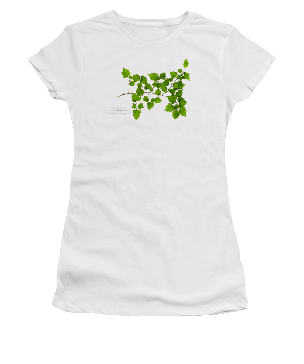 Leaves Women's T-Shirt featuring the photograph Hawthorn by Christina Rollo
