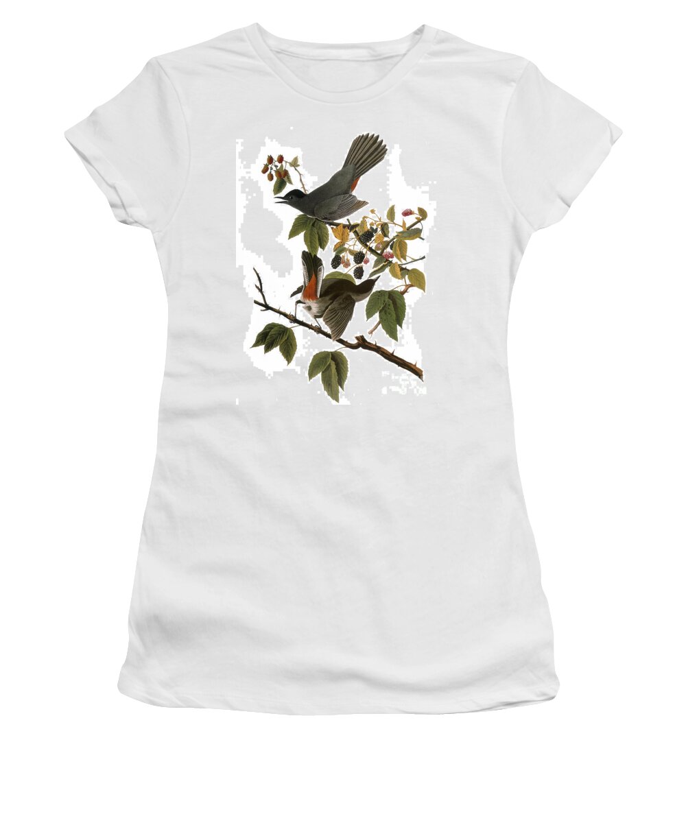 1827 Women's T-Shirt featuring the photograph Audubon: Catbird, (1827-38) by Granger