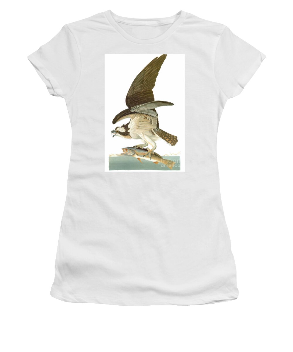 19th Century Women's T-Shirt featuring the drawing Osprey, or Fish Hawk. 1827-38 by John James Audubon