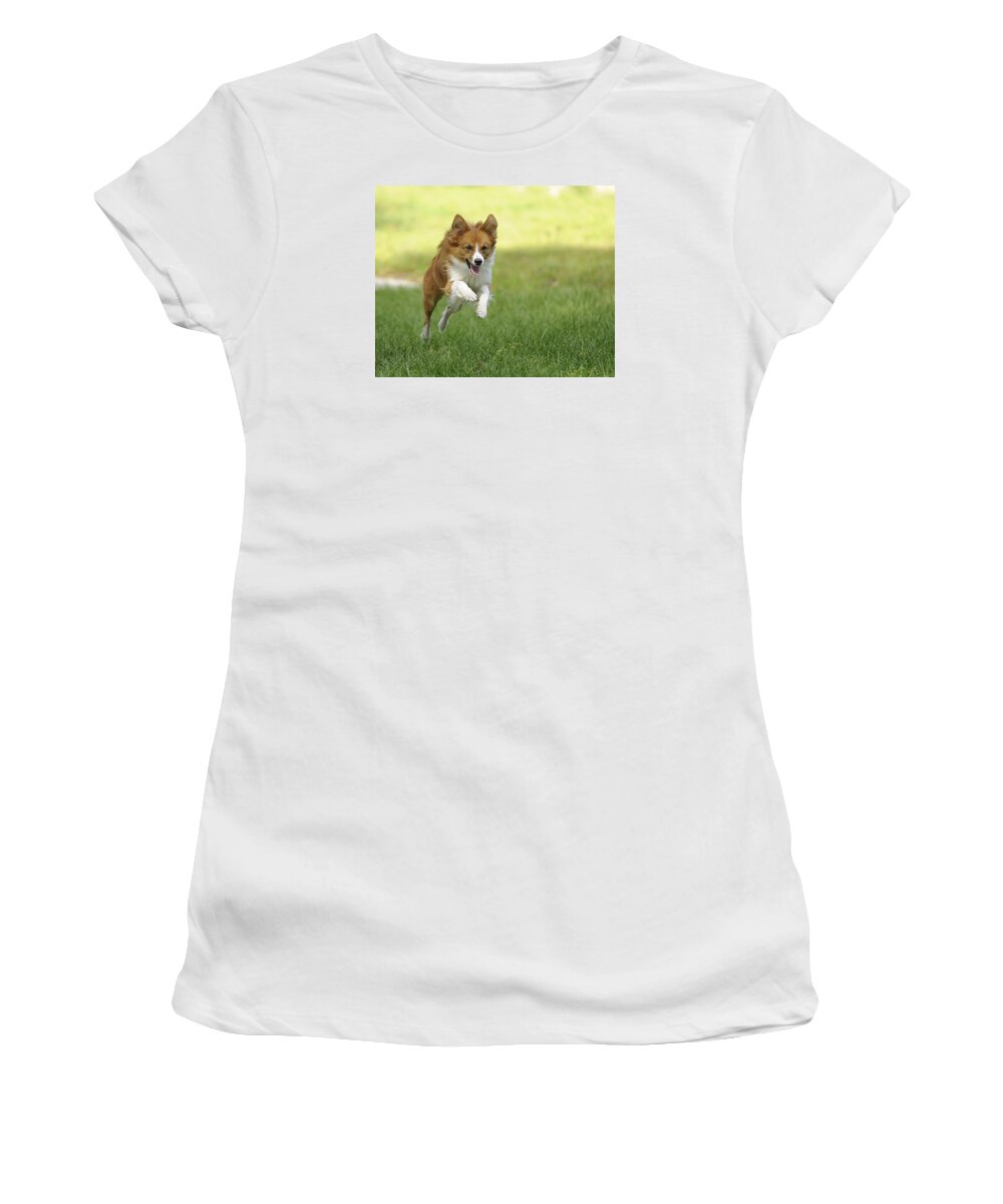 Aussi Women's T-Shirt featuring the photograph Aussi at Play by Keith Lovejoy