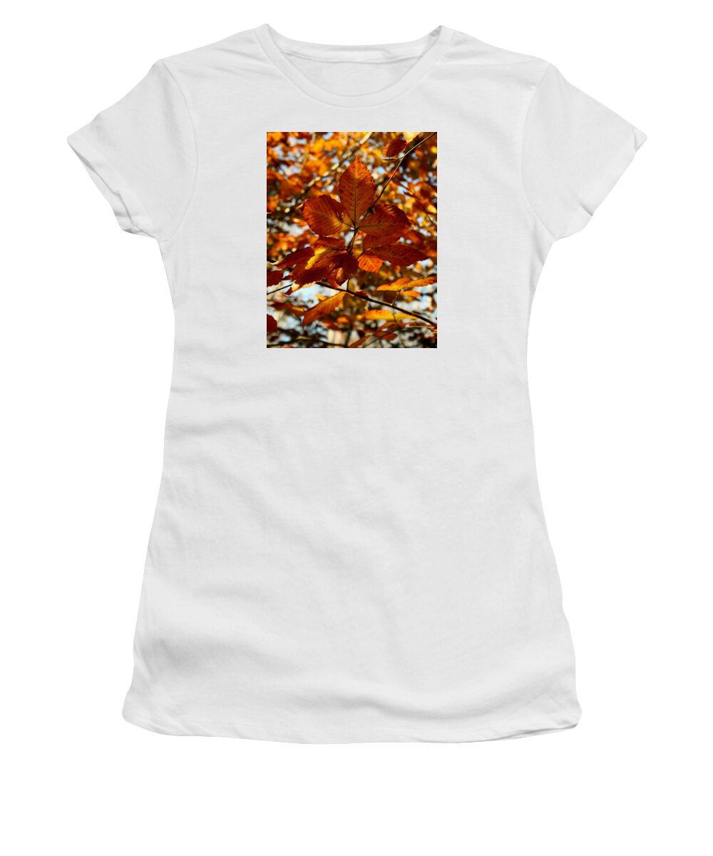 Autumn Women's T-Shirt featuring the photograph Autumn Leaves by Karen Harrison Brown