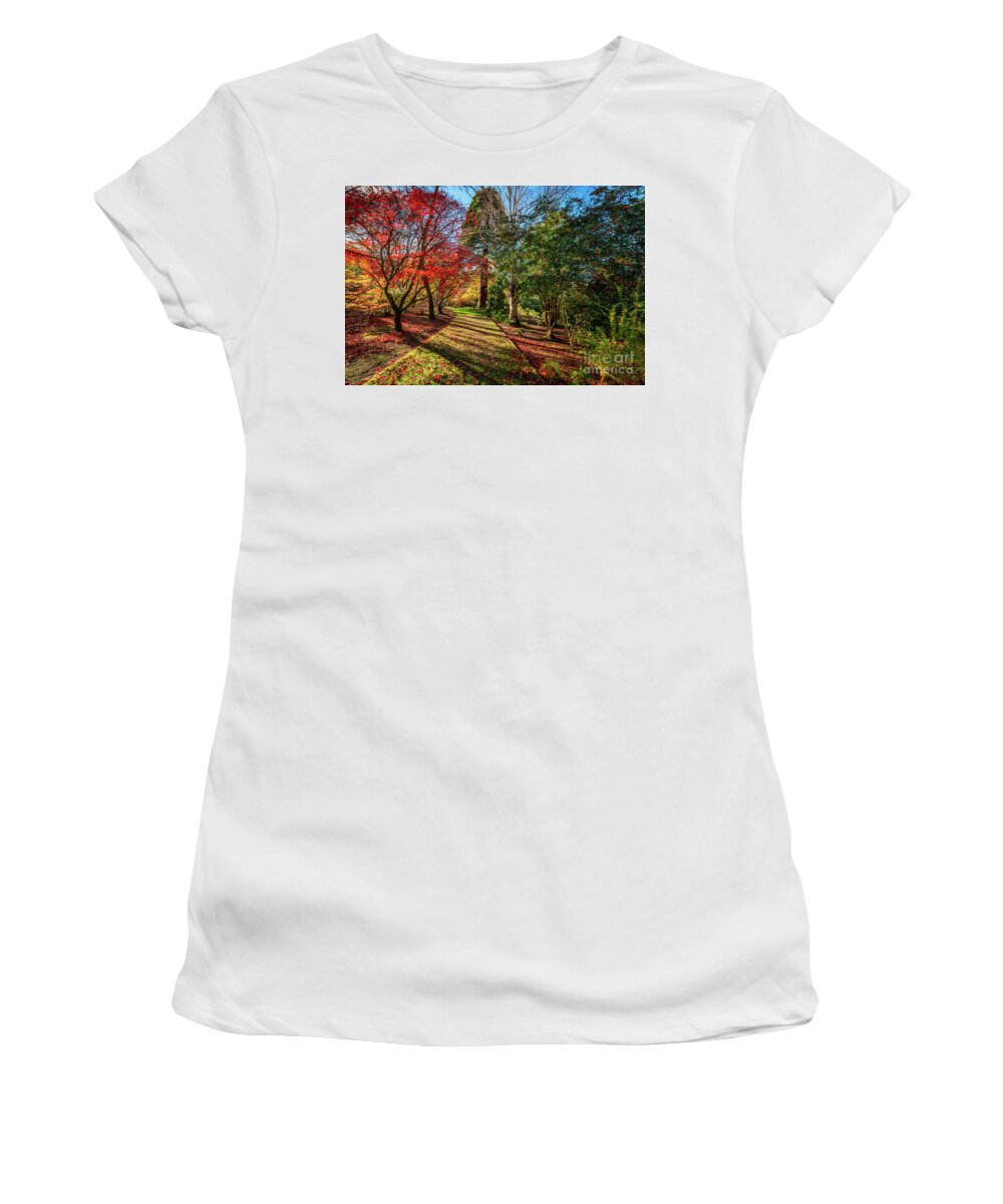 Autumn Women's T-Shirt featuring the photograph Autumn Sunlight by Adrian Evans