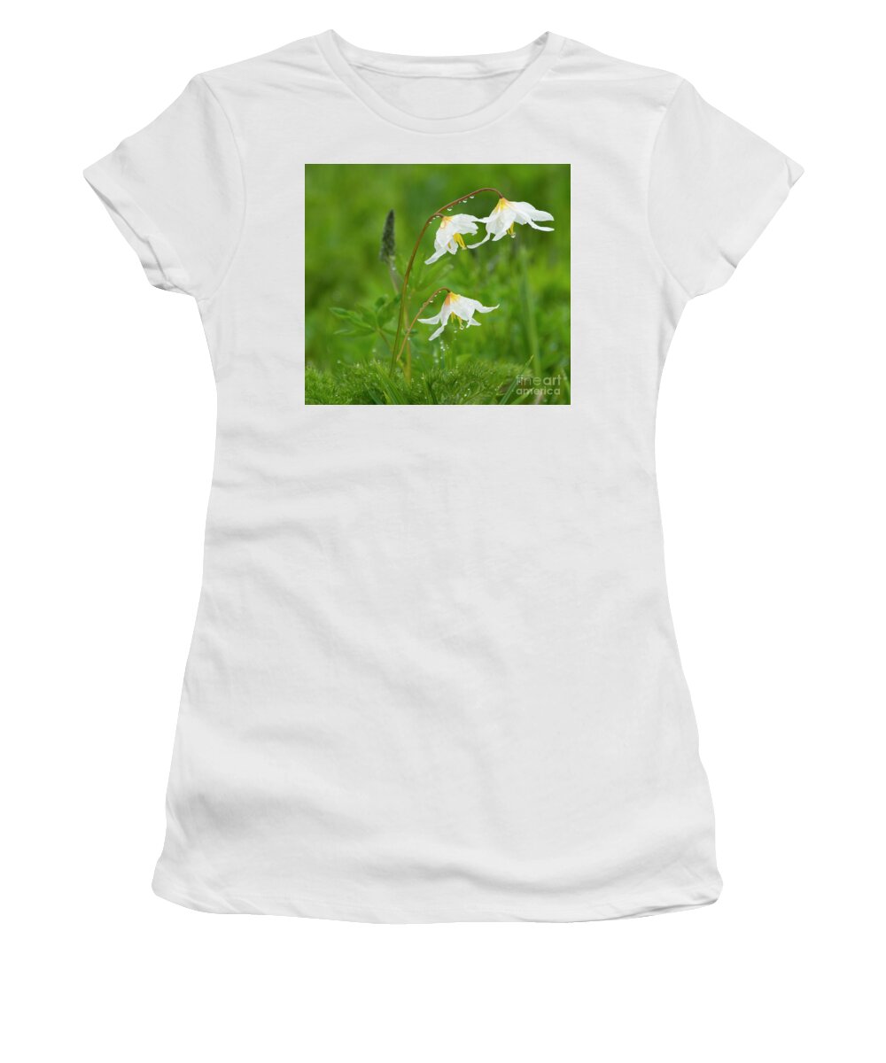 Avalanche Lillies Women's T-Shirt featuring the photograph Avalanche Morning Dew by Michael Dawson