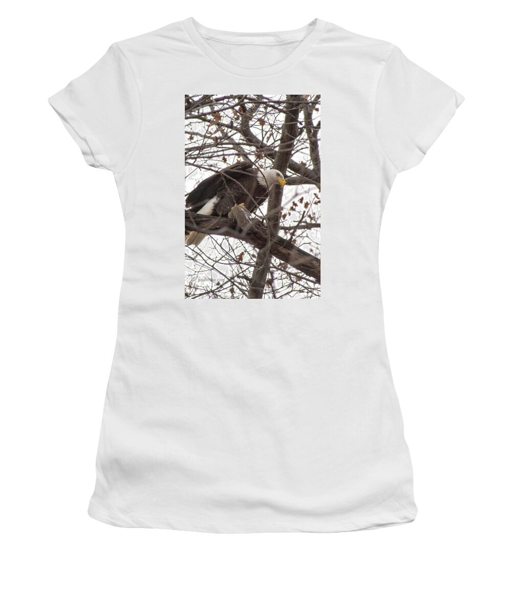  Women's T-Shirt featuring the photograph Backyard Eagle And Squirrel.... by Paul Vitko
