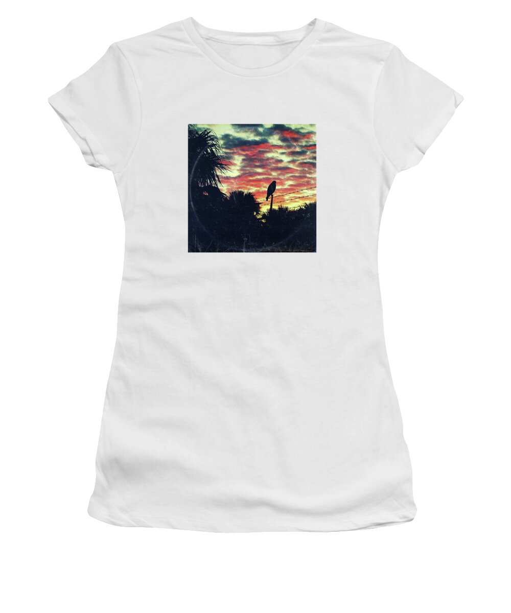 Paradise Women's T-Shirt featuring the painting Barbed Wire Paradise - America As Vintage Album Art by Little Bunny Sunshine