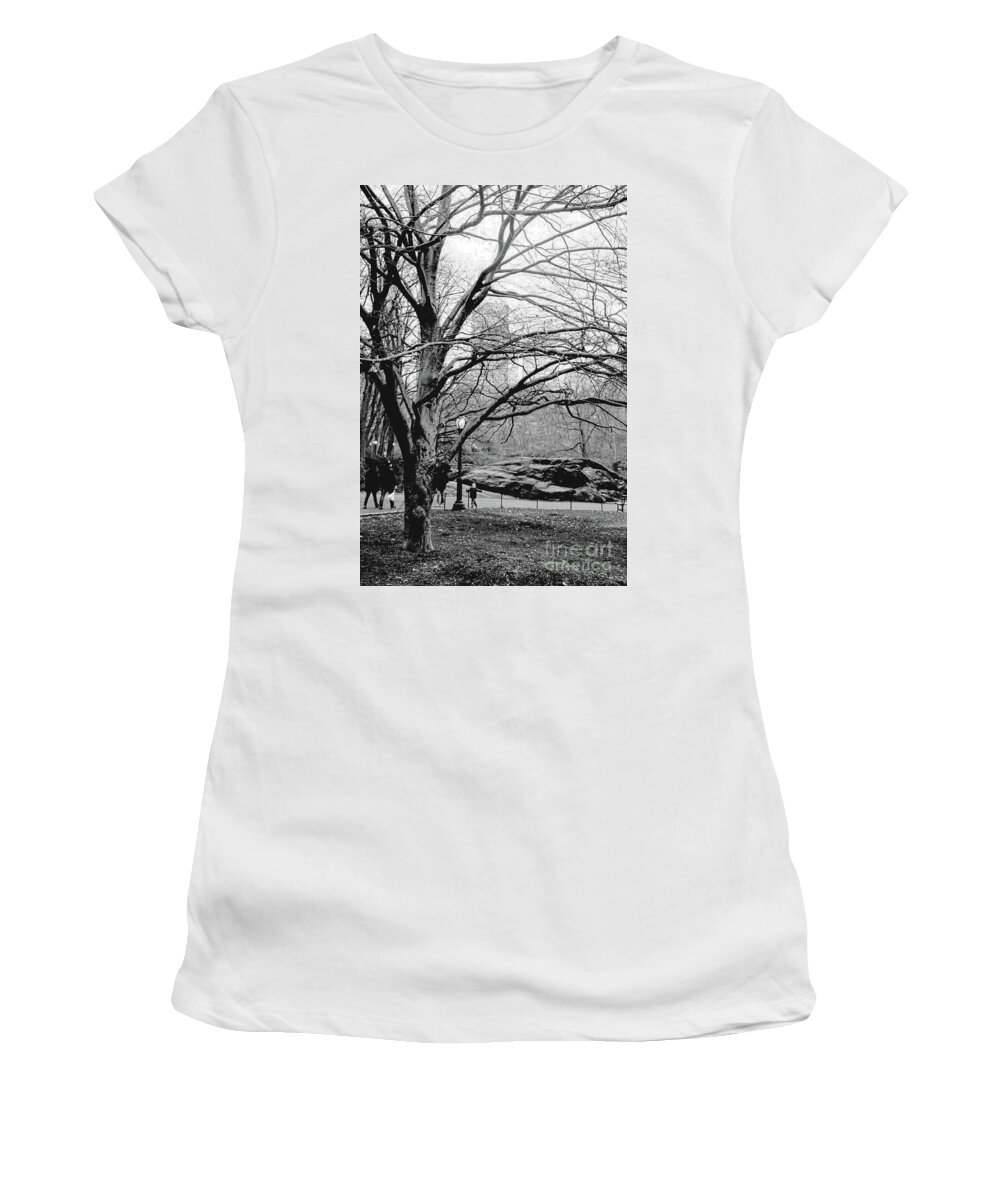 Photograph Women's T-Shirt featuring the photograph Bare Tree on Walking Path BW by Sandy Moulder