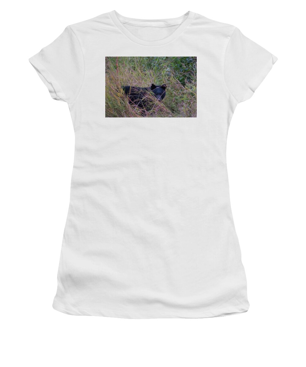 Black Bear Women's T-Shirt featuring the photograph Bear in the Bush by David Kirby