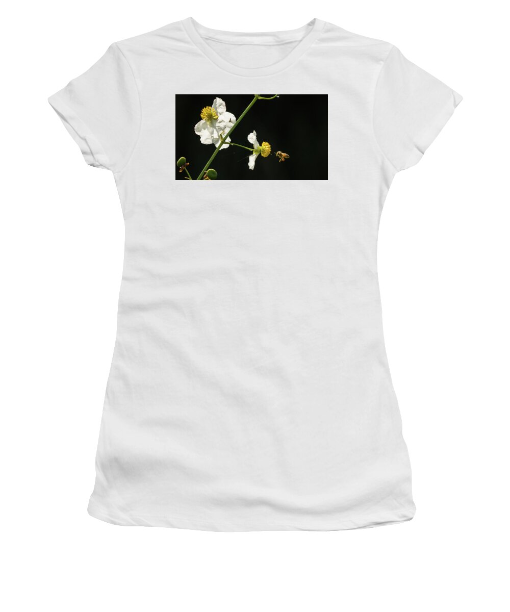 Florida Women's T-Shirt featuring the photograph Bee Flower Delray Beach Florida by Lawrence S Richardson Jr