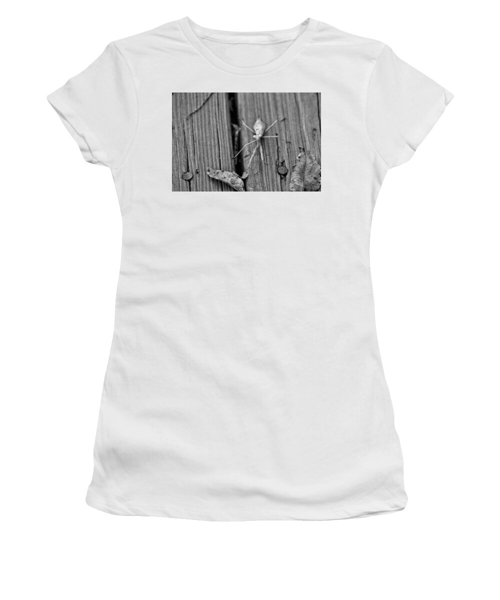 Mantis Women's T-Shirt featuring the photograph Being Judged by Joseph Caban