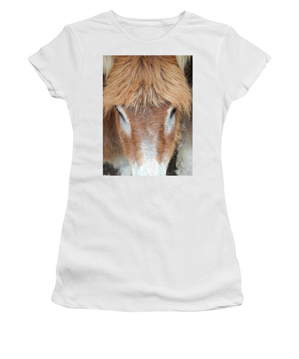 Donkey Women's T-Shirt featuring the photograph Believe Me Its Real by Jan Gelders