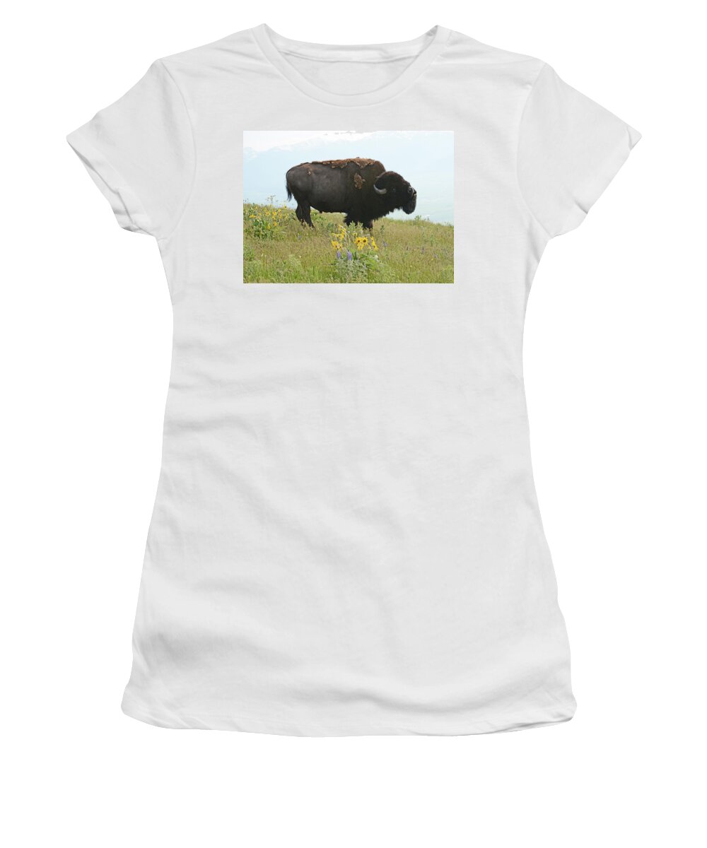 Bellowing Women's T-Shirt featuring the photograph Bellowing Bull Bison by Whispering Peaks Photography