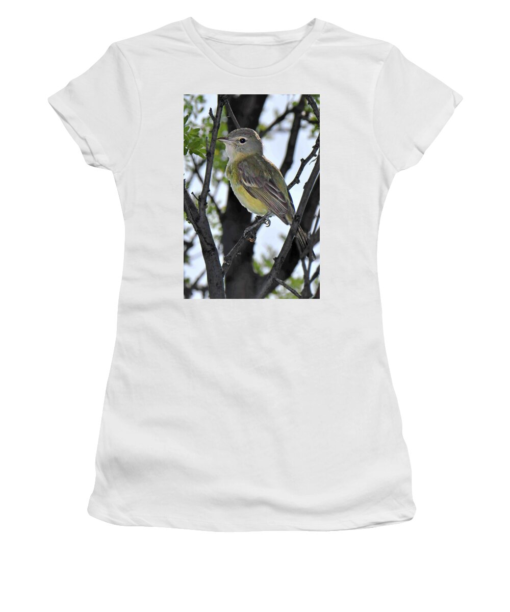 Bird Women's T-Shirt featuring the photograph Bell's Vireo by Alan Lenk