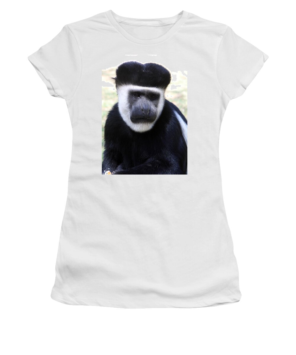 Colobus Monkey Women's T-Shirt featuring the photograph Black And White Colobus Monkey by Aidan Moran