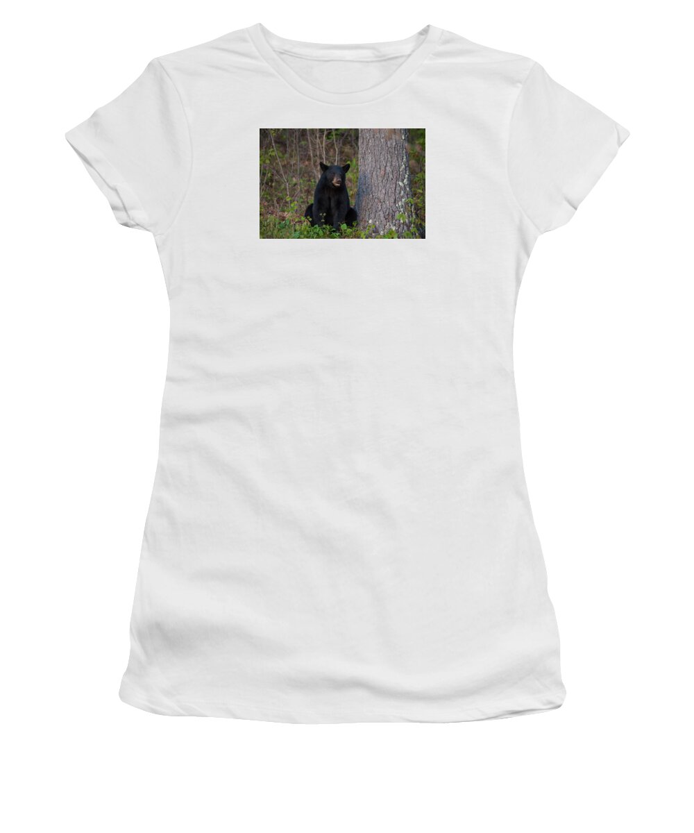 Animal Women's T-Shirt featuring the photograph Black Bear by Brenda Jacobs