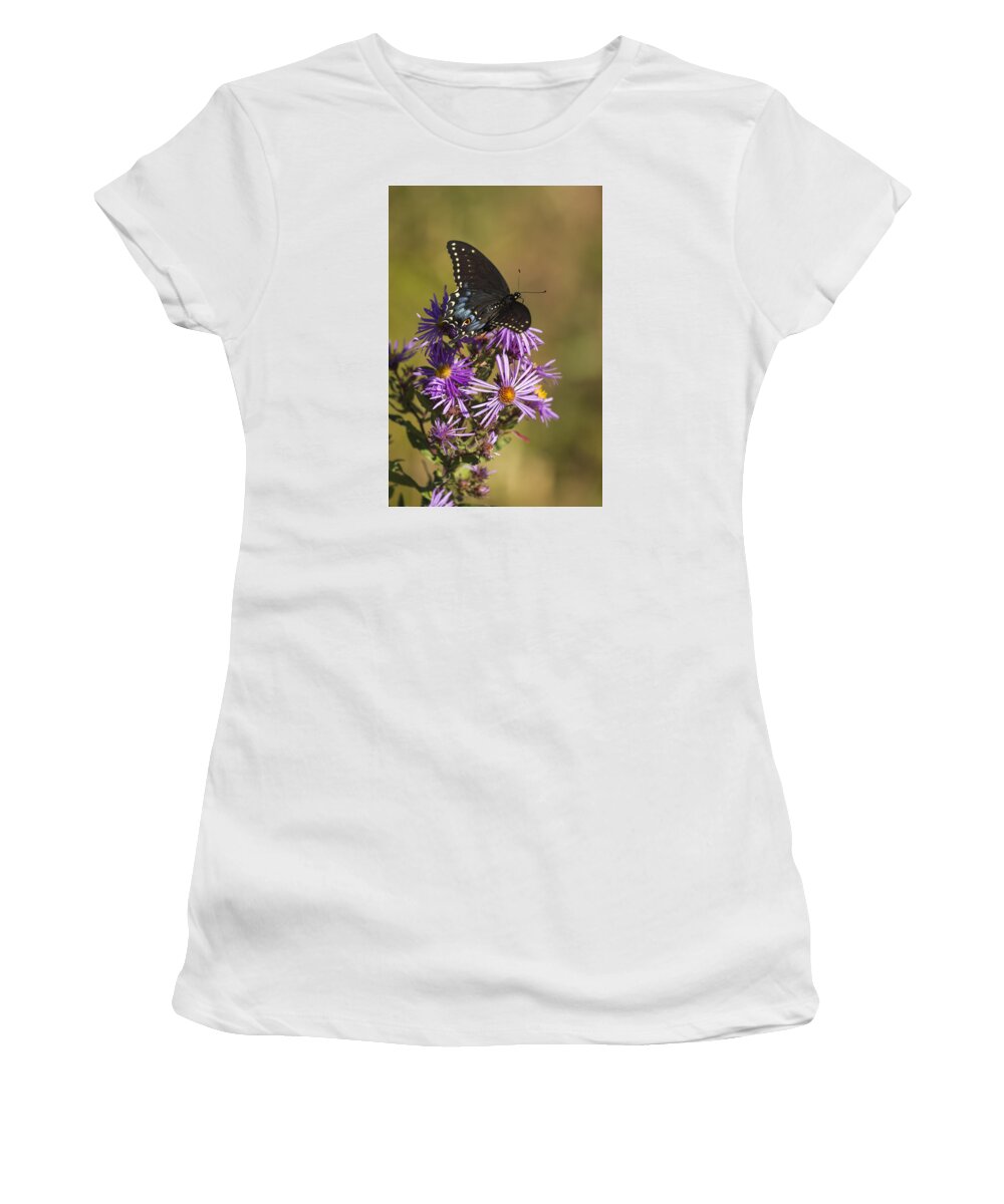 Black Swallowtail Women's T-Shirt featuring the photograph Black Swallowtail and Aster 2013-1 by Thomas Young