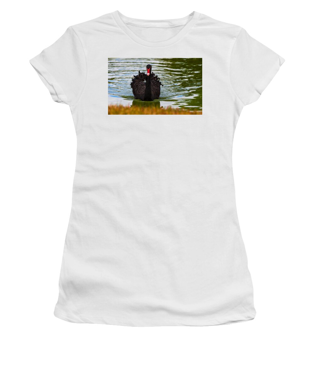 Australia Women's T-Shirt featuring the photograph Black Swan by Ed Gleichman