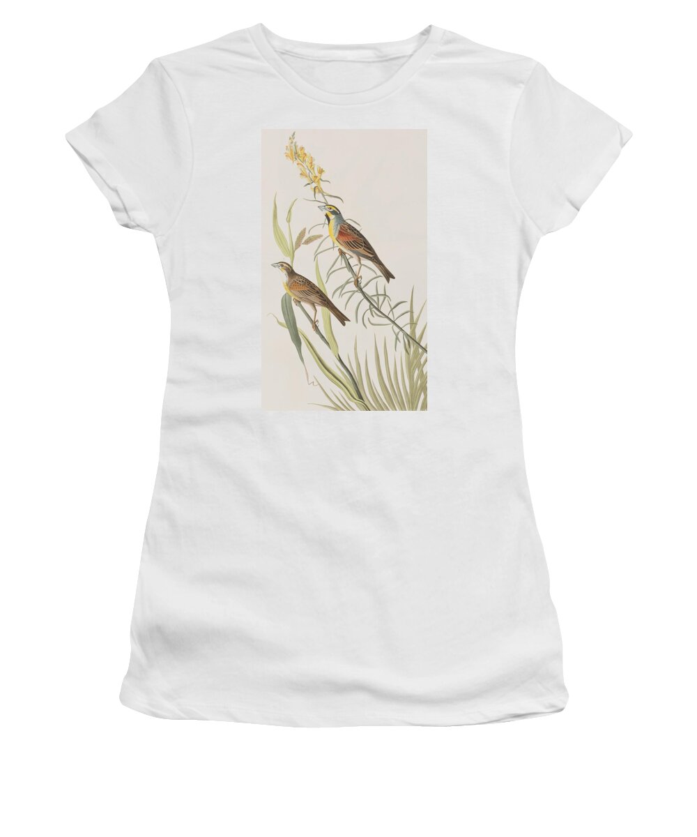 Bunting Women's T-Shirt featuring the painting Black-Throated Bunting by John James Audubon