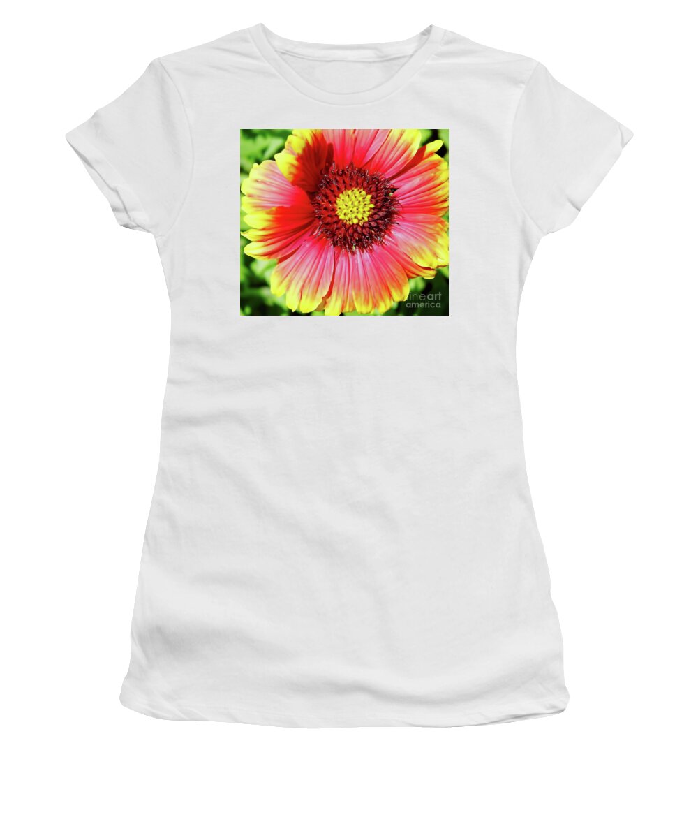 Gaillardia Women's T-Shirt featuring the photograph Blanket Flower by D Hackett