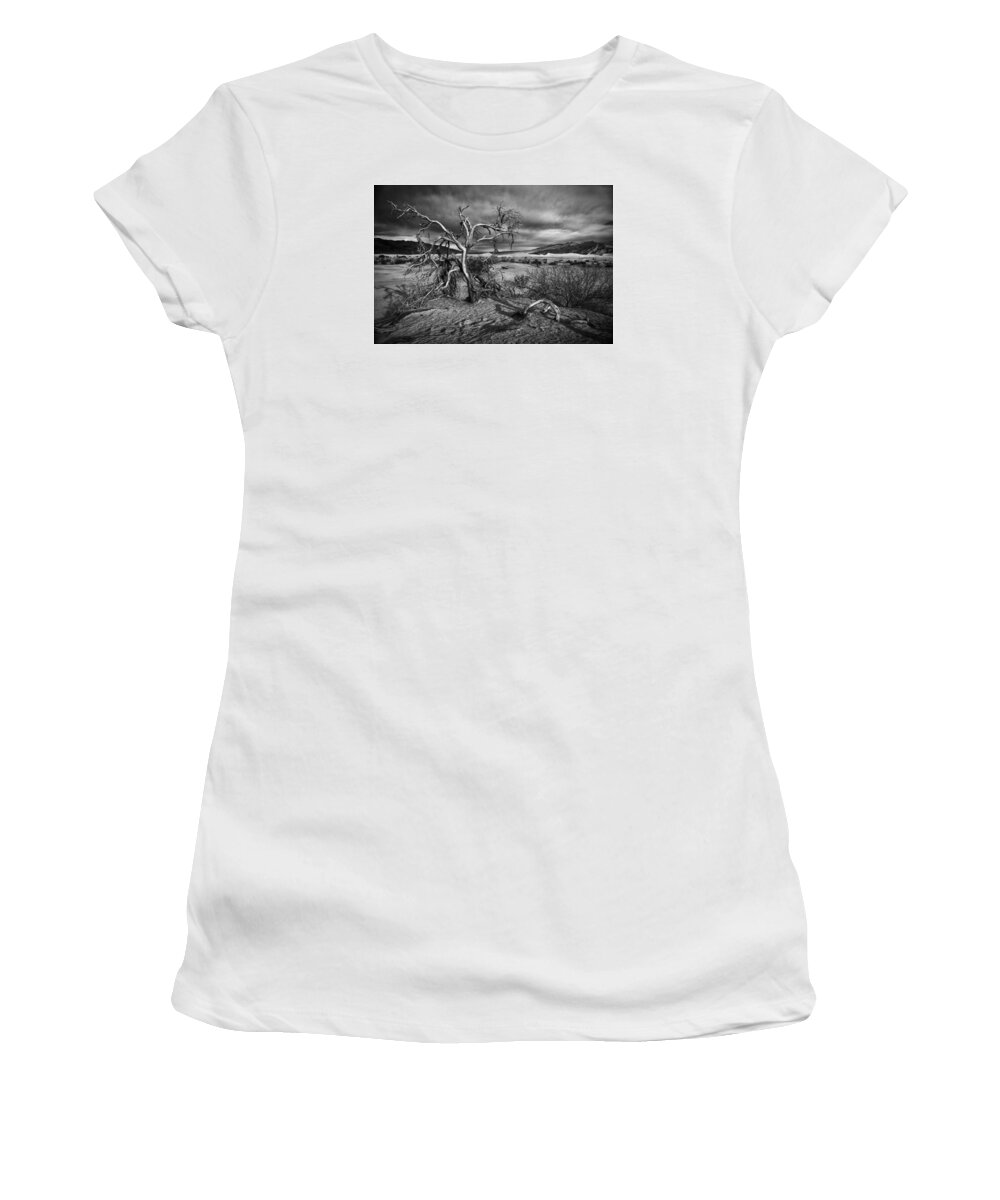 Crystal Yingling Women's T-Shirt featuring the photograph Bleached Bones by Ghostwinds Photography
