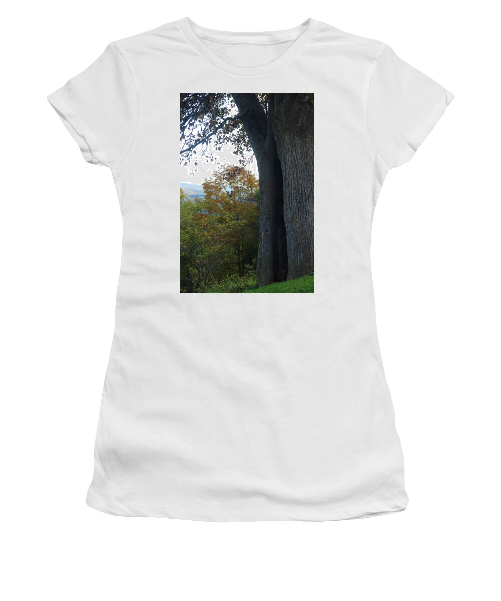 Nature Women's T-Shirt featuring the photograph Blue Ridge Parkway Tree by Cathy Lindsey