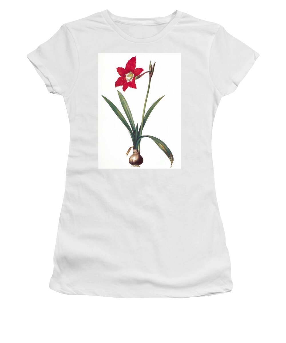 1800 Women's T-Shirt featuring the photograph Botany: Lily by Granger