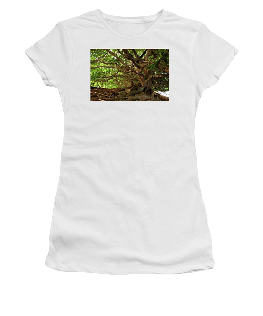 Branches Women's T-Shirt featuring the photograph Branches And Roots by James Eddy