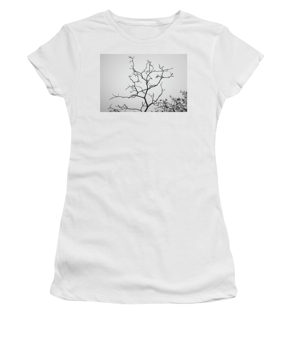 Arbor Women's T-Shirt featuring the photograph Branching Out I BW by David Gordon